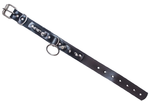 Coleira preta de couro com pontas melalicas aberta